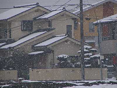 山梨の林道事典－淡雪山と興因寺山を結ぶ登山道（ページ１）